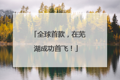 全球首款，在芜湖成功首飞！